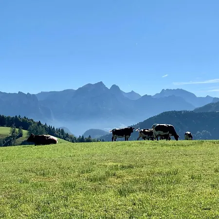 Moarhof * Unken