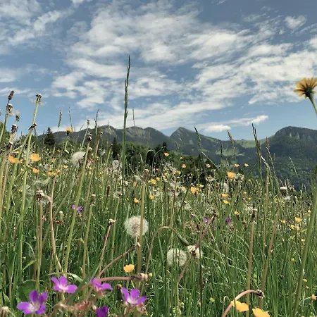 Διαμέρισμα Moarhof Unken