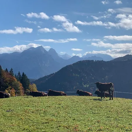 Moarhof *